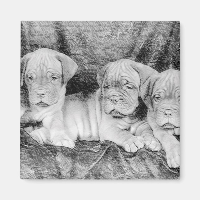 Aimant de Dogue de bordeaux (Devant)