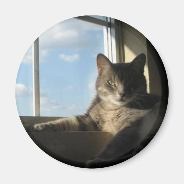 aimant de fenêtre stella (Devant)