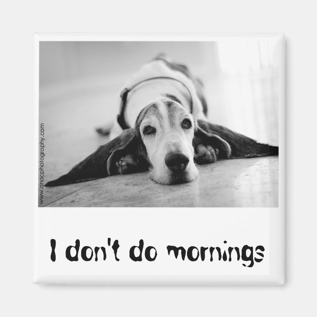 Aimant de fixation noir et blanc (Devant)