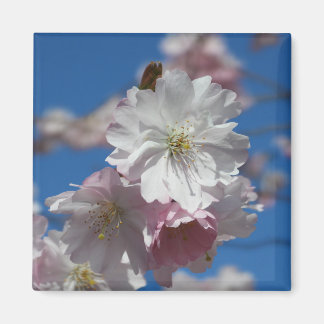 Aimant de fleur