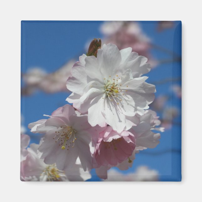 Aimant de fleur (Devant)