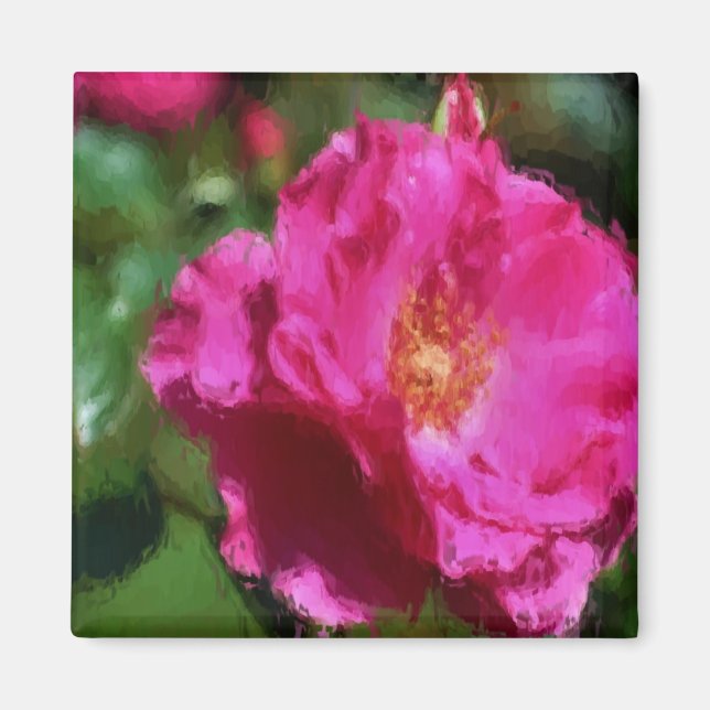 Aimant de fleur de dessin de craie de rose de rose (Devant)