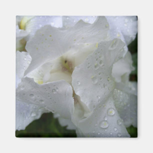Aimant de fleur d'iris