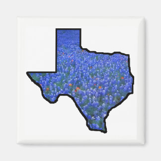 Aimant de forme d'état du Texas