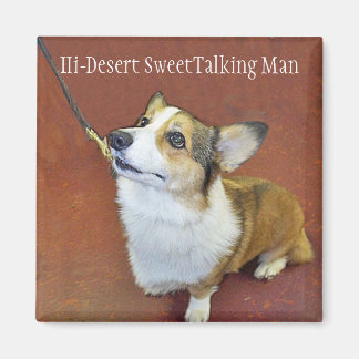 Aimant de fuite de champ avec texte