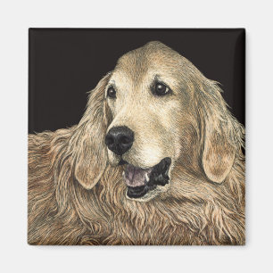 Aimant de golden retriever - "ours "
