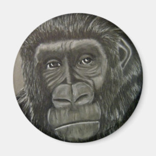 aimant de gorille