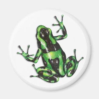 Aimant de grenouille à tarte poison