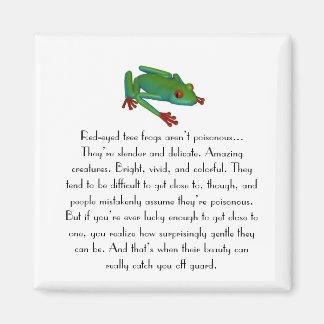Aimant de grenouille aux yeux rouges
