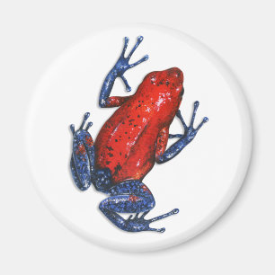 Aimant de grenouille de dard de poison