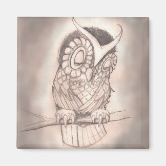 Aimant de hibou endormi