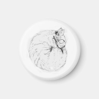 Aimant de Kitty dormant