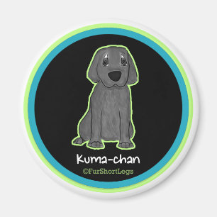 aimant de Kuma-chan