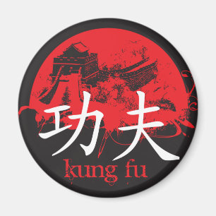 Aimant de Kung Fu