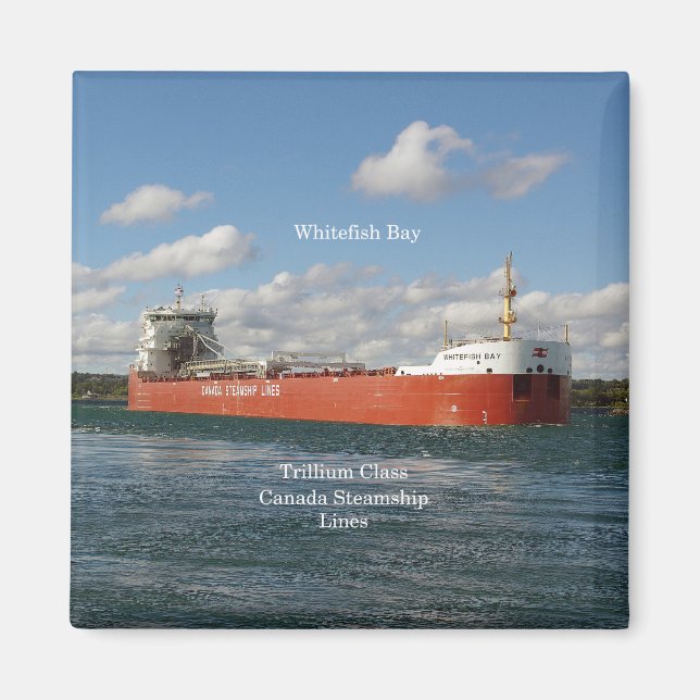 Aimant de la baie Whitefish (Devant)