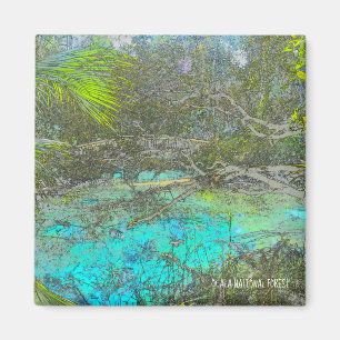 Aimant de la Floride de réserve forestière d'Oca