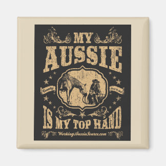 Aimant de la main supérieure