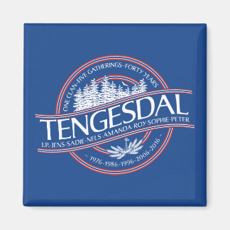 Aimant de la réunion Tengesdal 2016