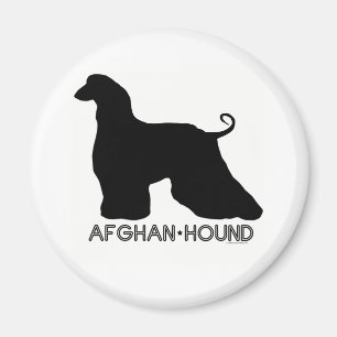 Aimant de lévrier afghan