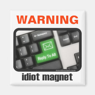 Aimant de l'idiot (aimant)