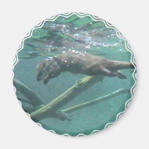 Aimant de loutre de rivière