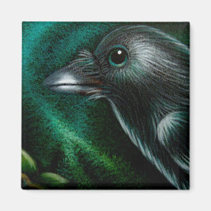 AIMANT DE LUMIÈRES DU NORD DE CORNEILLE DE RAVEN