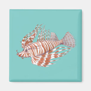 Aimant de Manchu de poissons