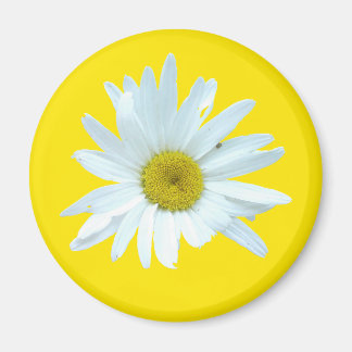 Aimant de marguerite