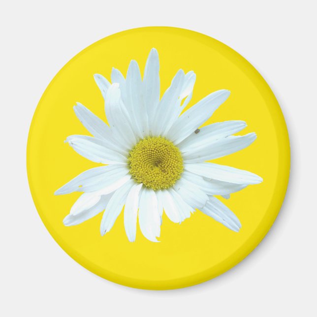 Aimant de marguerite (Devant)