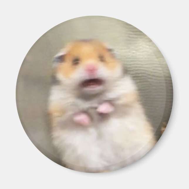 Aimant de mème de hamster effrayé (Devant)