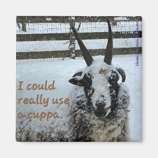 Aimant de mouton de café n° 1 - Précieux