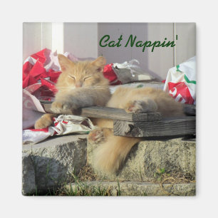 Aimant de Nappin de chat