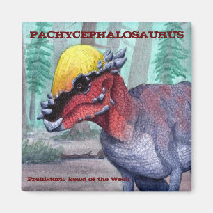 Aimant de Pachycephalosaurus