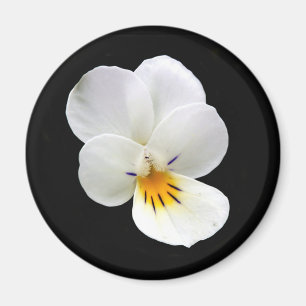 Aimant de Pansy sauvage