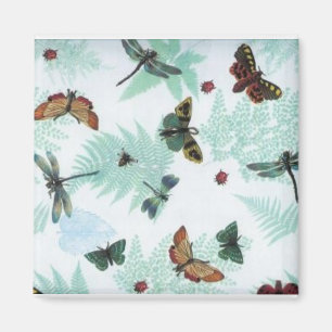 AIMANT DE PAPILLON