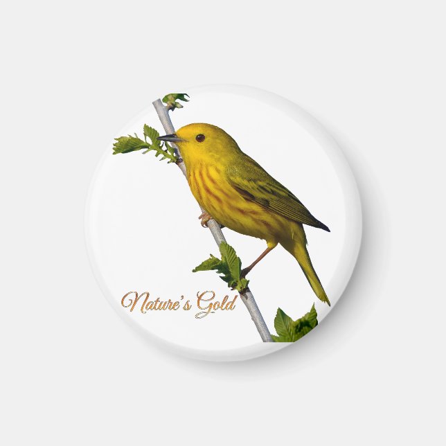 Aimant de Paruline jaune "L’or de la nature" (Devant)