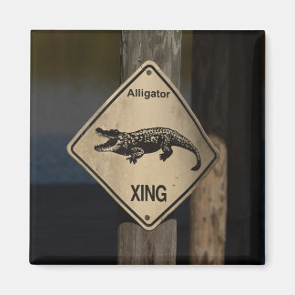 Aimant de passage d'alligator