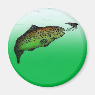 Aimant de pêche à la truite