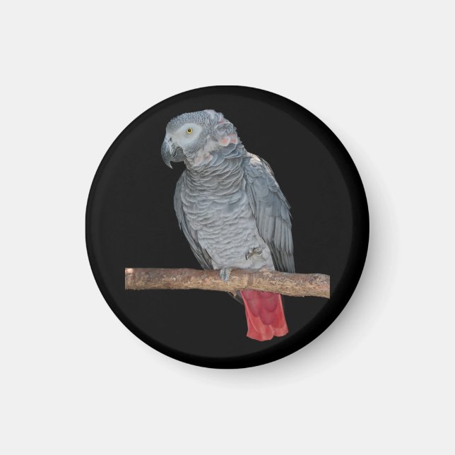 Aimant de perroquet poché (Devant)