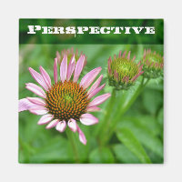 Aimant de perspective de l'échinacée