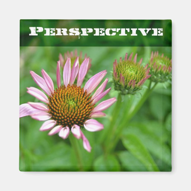 Aimant de perspective de l'échinacée (Devant)