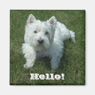 Aimant de photo de Westie bonjour