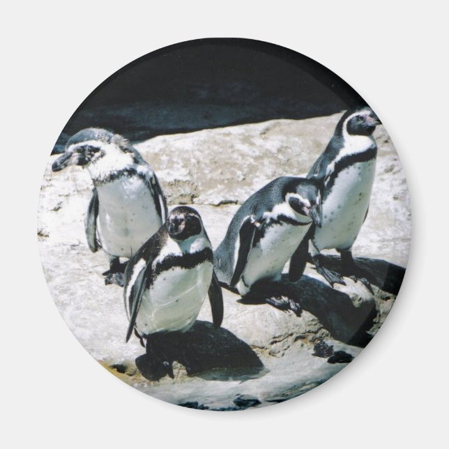 Aimant de pingouin (Devant)
