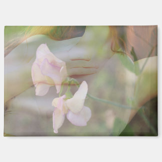 Aimant de pois doux