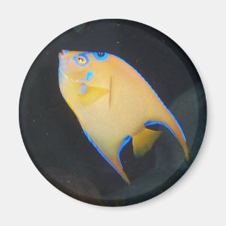 Aimant de poisson jaune