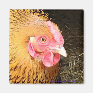 Aimant de poulet no 1 Golden Laced Wyandotte