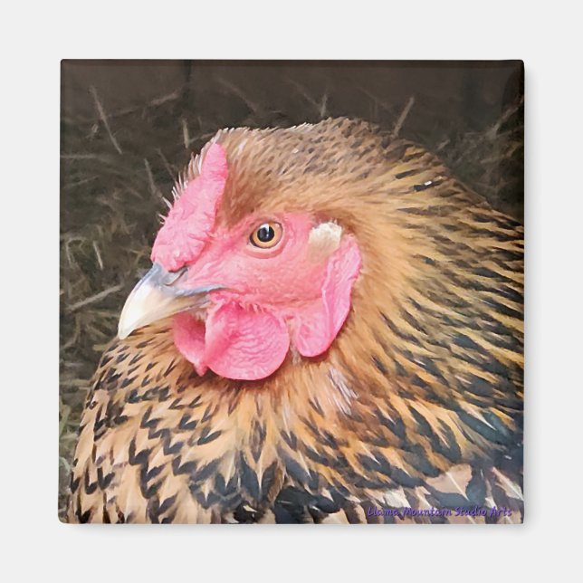 Aimant de poulet no 2 Golden Laced Wyandotte (Devant)