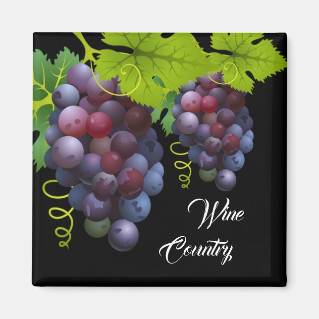 Aimant de raisins (Devant)