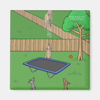 Aimant de rebond de Trampoline Kangourou