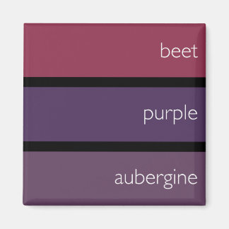 Aimant de rechange : nuances de couleurs